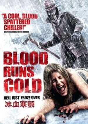 冰血寒颤海报