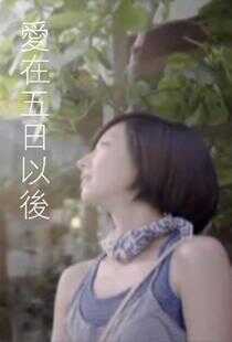 爱在五日以后海报