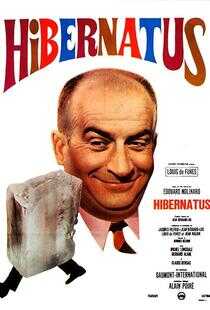 冬眠者海报