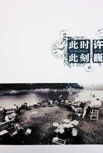 许巍:此时此刻海报