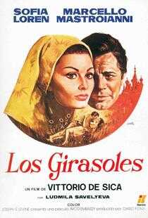 第二个月亮海报