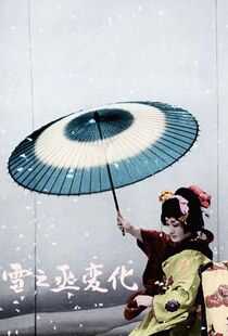 雪之丞变化海报