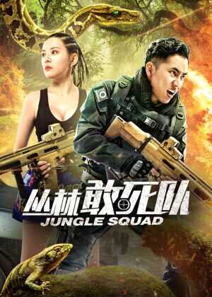 丛林敢死队海报