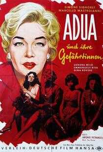 阿朵拉和她的朋友们海报