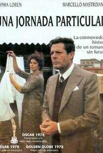 特殊的一天海报