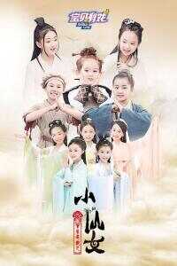 宝贝有戏之小仙女海报