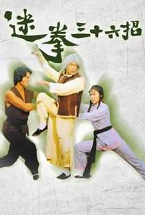 迷拳三十六招海报