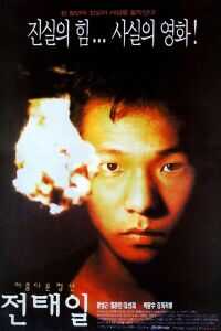 美丽青年全泰壹海报