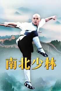 南北少林海报