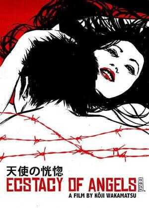 天使的恍惚海报