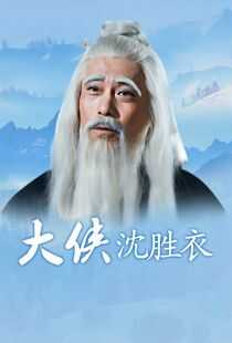 大侠沈胜衣海报