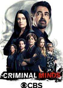 犯罪心理 第十二季海报