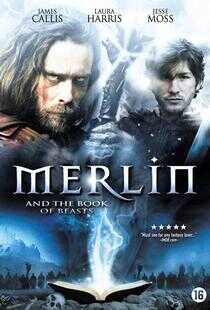 梅林和野兽之书海报