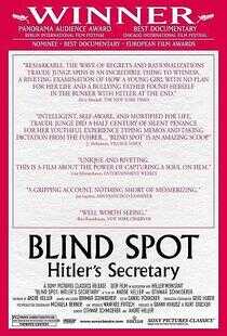 希特勒的秘书海报