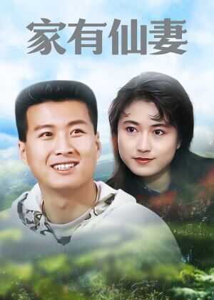 家有仙妻海报