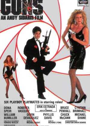 美女特工队海报