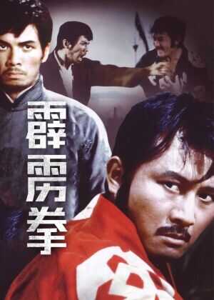 霹雳拳海报