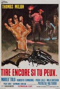 姜戈，杀！海报