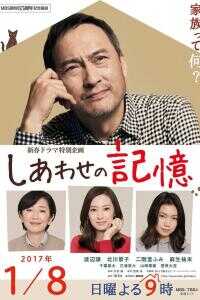 幸福的记忆海报