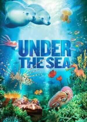 海底世界3D海报