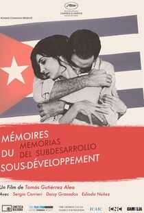 低度开发的回忆海报