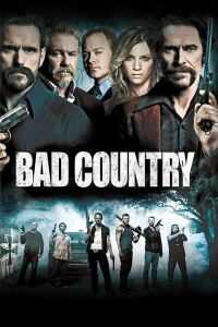 黑帮追缉令海报