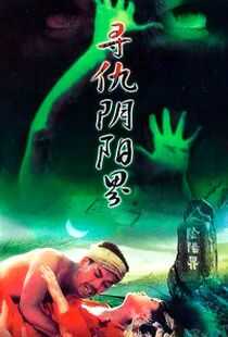 寻仇阴阳界海报