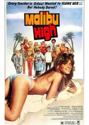 马里布高中海报