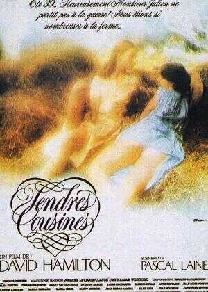 十八岁未嫁时海报