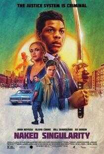 裸奇点海报