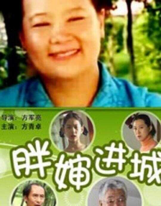 胖婶进城国语版