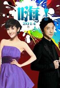 嗨！2014海报