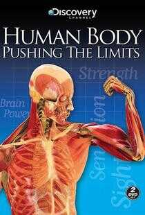 透视人体极限海报