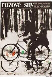 玫瑰色的梦海报