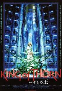 古城荆棘王海报