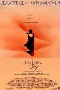 遮蔽的天空海报