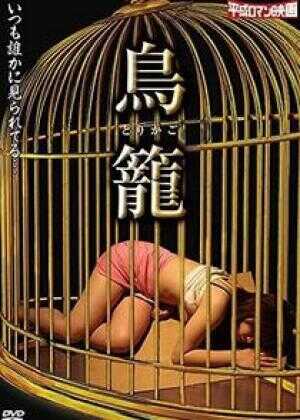 鸟笼海报