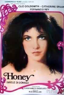 欲望中的女人海报