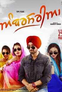 特工有麻烦海报