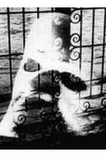 威尼斯和她的情人们