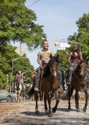 行尸走肉 第九季海报