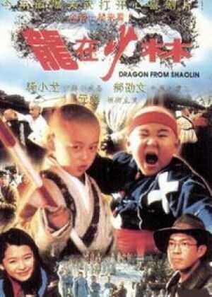 龙在少林海报