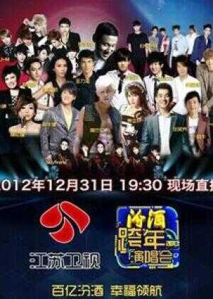 2013年江苏卫视跨年演唱会海报