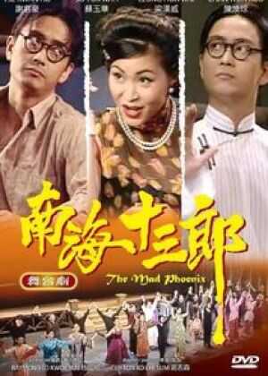 南海十三郎海报