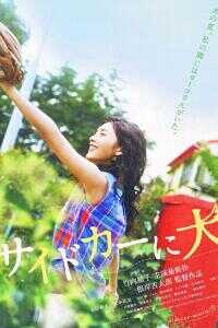 挎斗摩托车里的狗海报