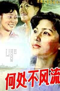 何处不风流海报
