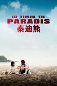 泰迪熊海报