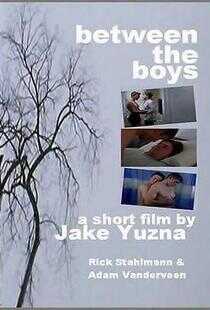 兄弟之间的秘密海报