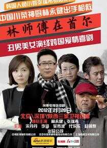 林师傅在首尔海报