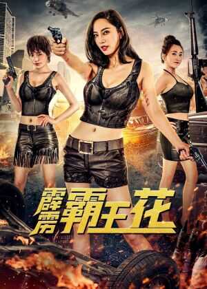 霹雳霸王花海报